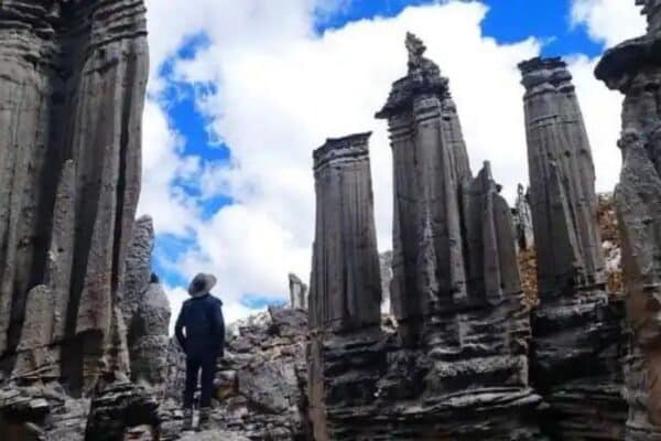 Explorando los Bosques de Piedra en el Perú: Maravillas Geológicas de Pasco, Cusco, Cajamarca y Más 19 Bosque Piedras macusani Puno peru