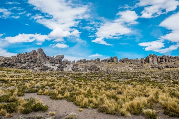 Explorando los Bosques de Piedra en el Perú: Maravillas Geológicas de Pasco, Cusco, Cajamarca y Más 21 Bosques Piedra Imata Arequipa qeswachakaperutours